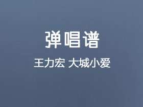 王力宏《大城小爱》吉他谱C调吉他弹唱谱