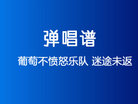 葡萄不愤怒乐队《迷途未返》吉他谱G调吉他弹唱谱