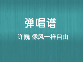 许巍 《我像风一样自由》吉他谱C调吉他弹唱谱