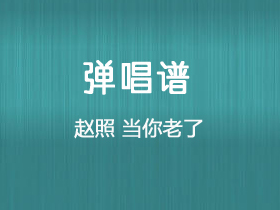 赵照 《当你老了》吉他谱C调吉他弹唱谱