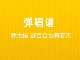 罗大佑《野百合也有春天》吉他谱C调吉他弹唱谱