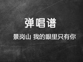 景岗山《我的眼里只有你》吉他谱G调吉他弹唱谱