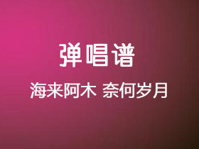 海来阿木 《奈何岁月》吉他谱C调吉他弹唱谱