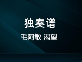 毛阿敏 《渴望》吉他谱C调吉他独奏谱