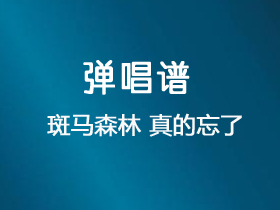 斑马森林《真的忘了》吉他谱C调吉他弹唱谱