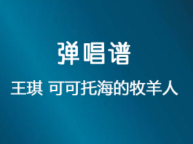 王琪《可可托海的牧羊人》吉他谱G调吉他弹唱谱