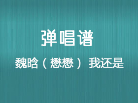 魏晗（懋懋）《我还是》吉他谱C调吉他弹唱谱