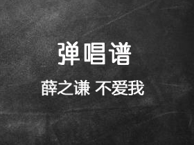 薛之谦 《不爱我》吉他谱G调吉他弹唱谱