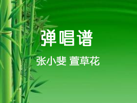 张小斐《萱草花》吉他谱C调吉他弹唱谱