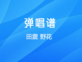 田震《野花》吉他谱C调吉他弹唱谱